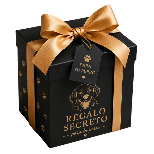 Regalo Sorpresa